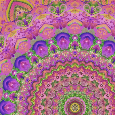 Ogród wrzosowy w pełnej wersji